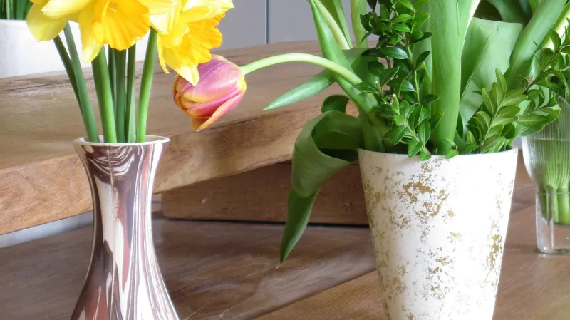 Z výstavy cibulovin v Boskovicích