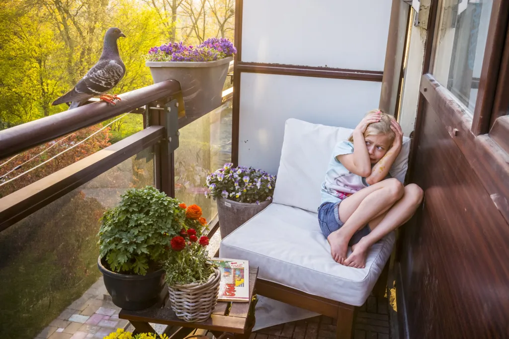 První místo v sekci Příroda: Jasper Doest se sérií snímků Pandemic Pigeons – A Love Story (Pandemičtí holubi – Milostný příběh)