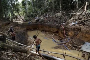 V Amazonii fungovalo zemědělství už před 10 tisíci roky, ukázal výzkum