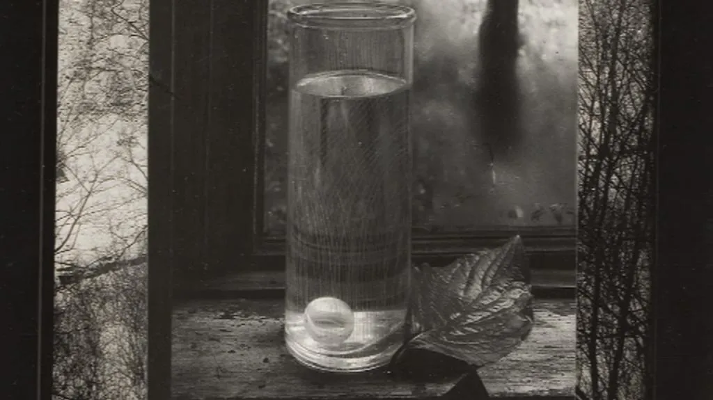 Josef Sudek / Věci