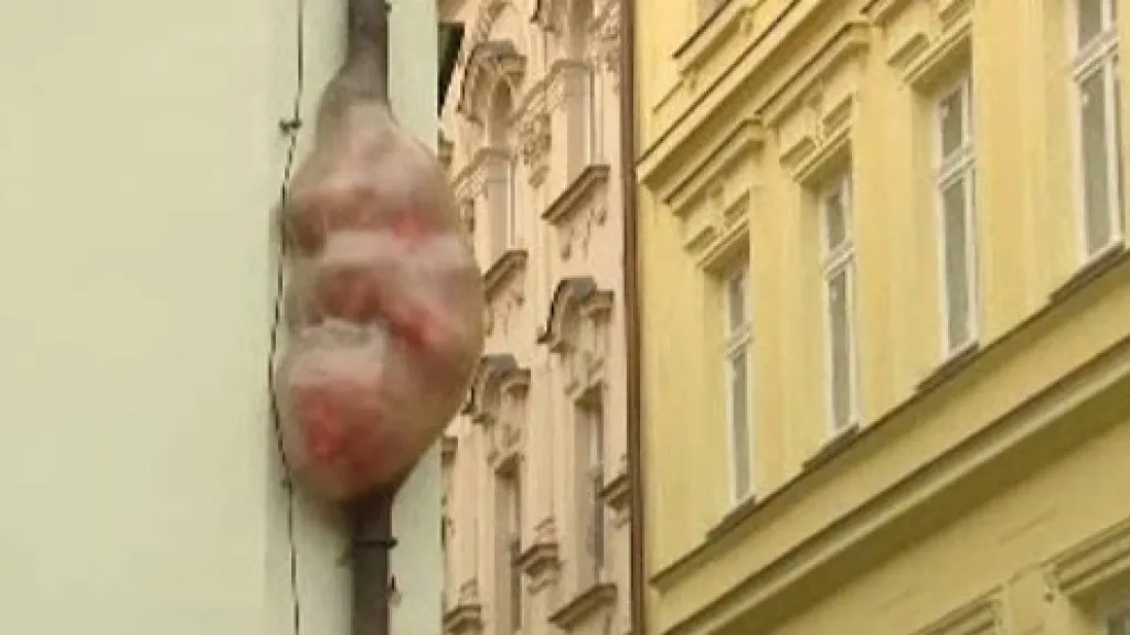 David Černý / Embryo