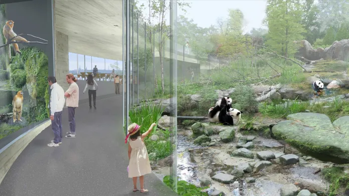 Vizualizace pandí expozice