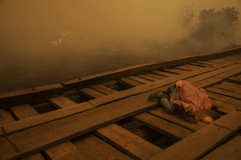 První místo v sekci Životní prostředí: Lalo de Almeida se sérií snímků Pantanal Ablaze (Pantanal hoří)