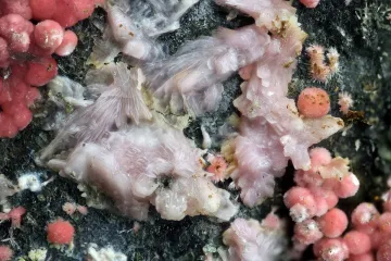 Brněnští vědci popsali nový minerál. Dobšináit našli na východním Slovensku