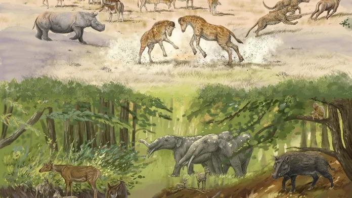 Životní podmínky žirafoidů se změnily, místo lesů se objevily savany