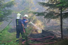 Na Opavsku hořel les. Hasiči museli evakuovat tábor, škoda je tři miliony korun