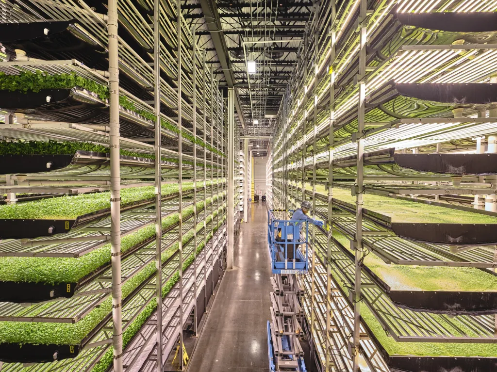 Zemědělský podnik v Newarku v USA produkuje čerstvou zeleninu způsobem, který využívá pouze pět procent vody potřebné na venkovním poli