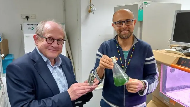 Profesoři Howe (vlevo) a Bombelli (vpravo) se sinicemi