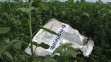 Katastrofa MH17: Zbytky v polích kolem
