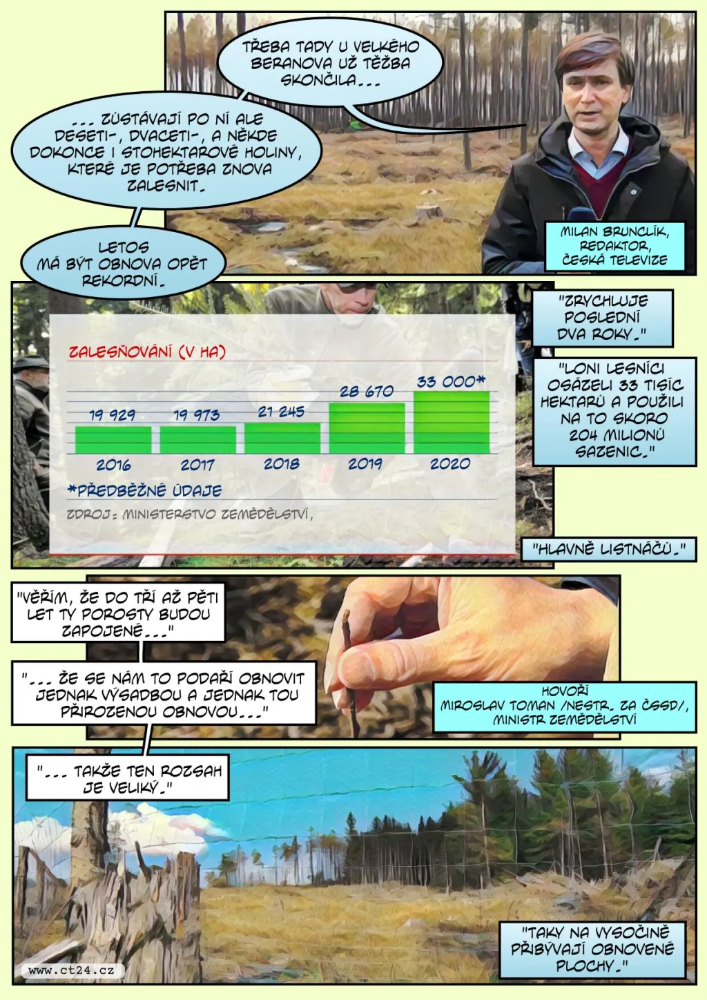 Lesníci loni zasadili 200 milionů stromů