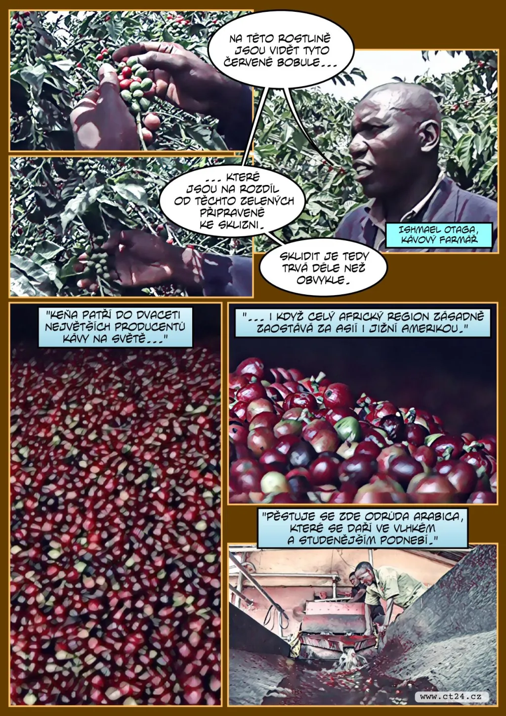 Pandemie a klimatické změny mají dopady na pěstování kávy