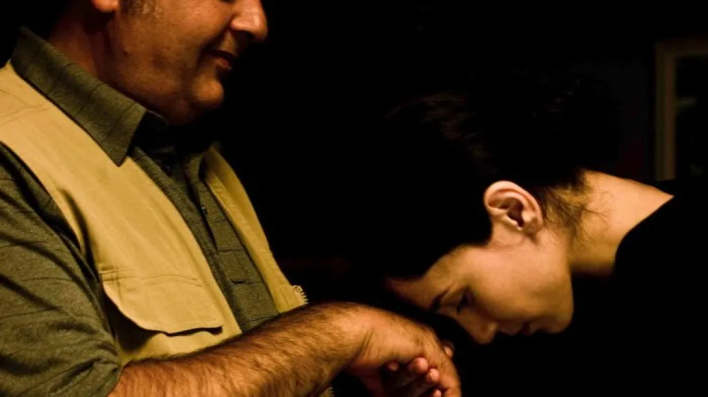 Die Fremde (Cizinka)