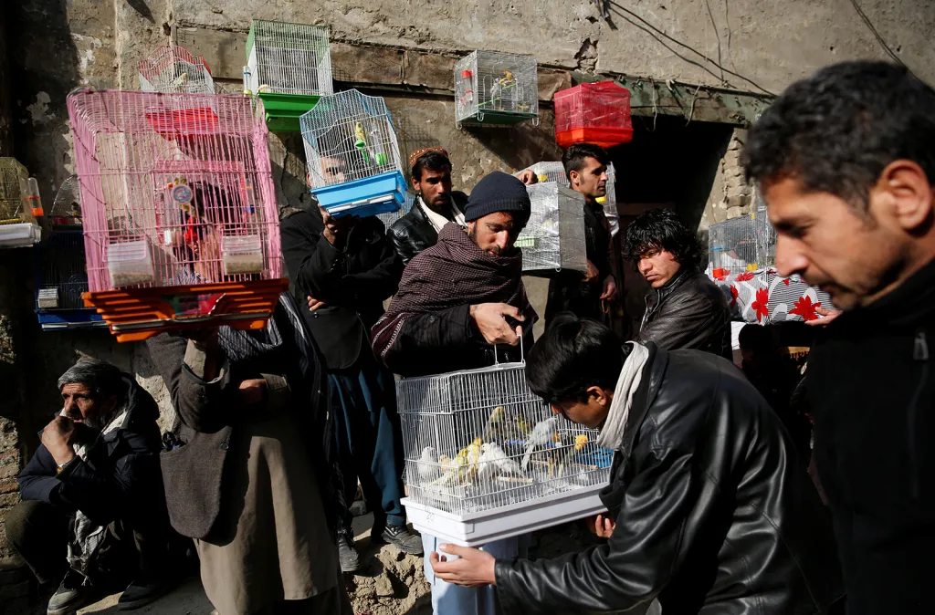 Prodavači kanárků na ulici afghánského tržiště Ka Faroshi v Kábulu