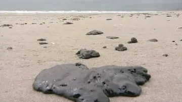 Dehtové koule na pláži Mont Maunganui