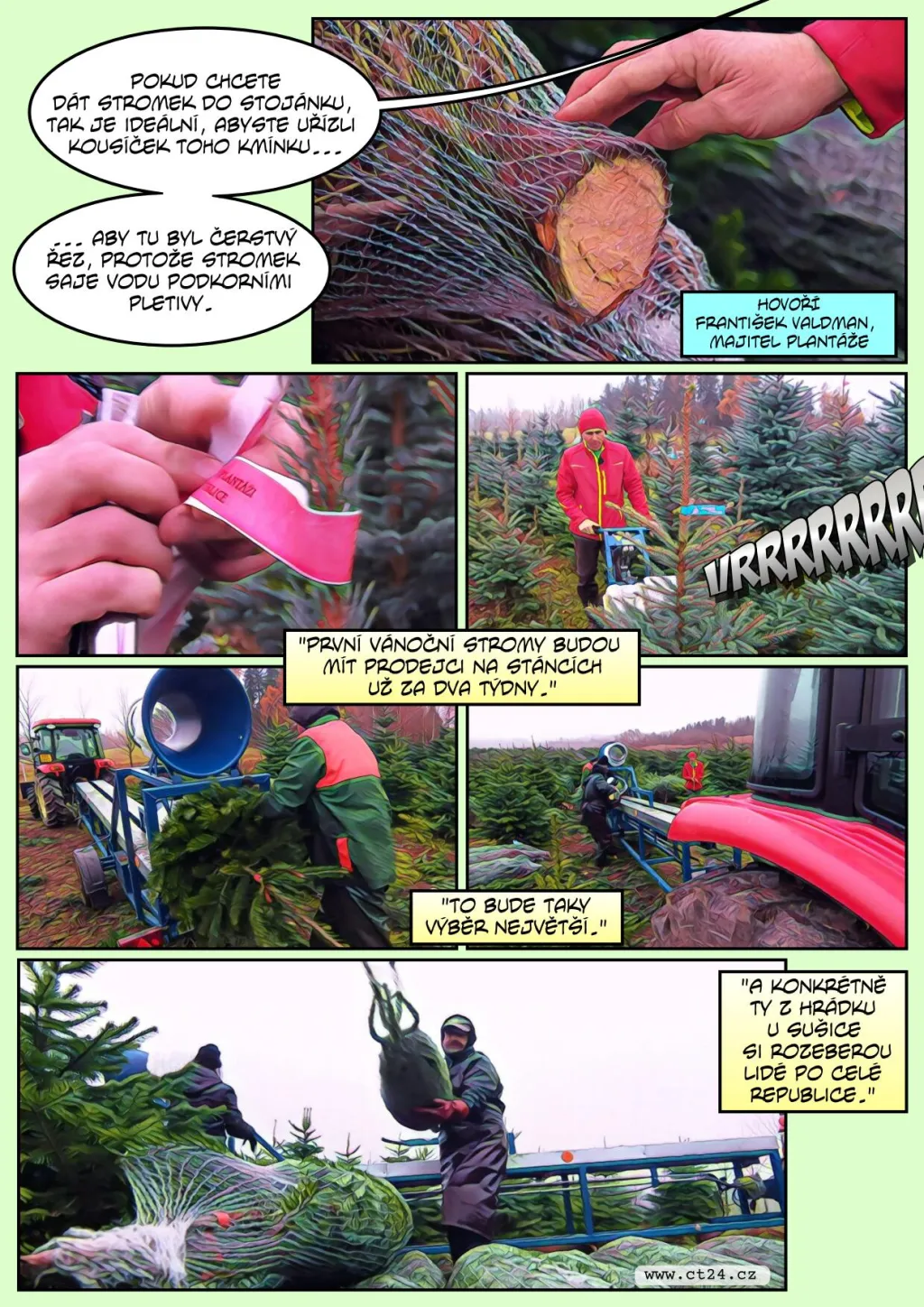 Prodej vánočních stromků