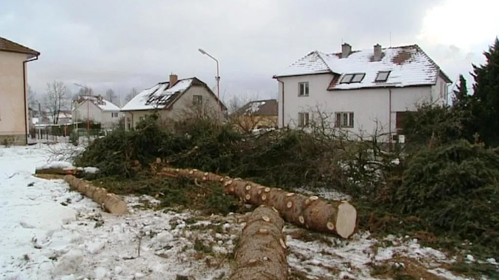 Vykácená zeleň