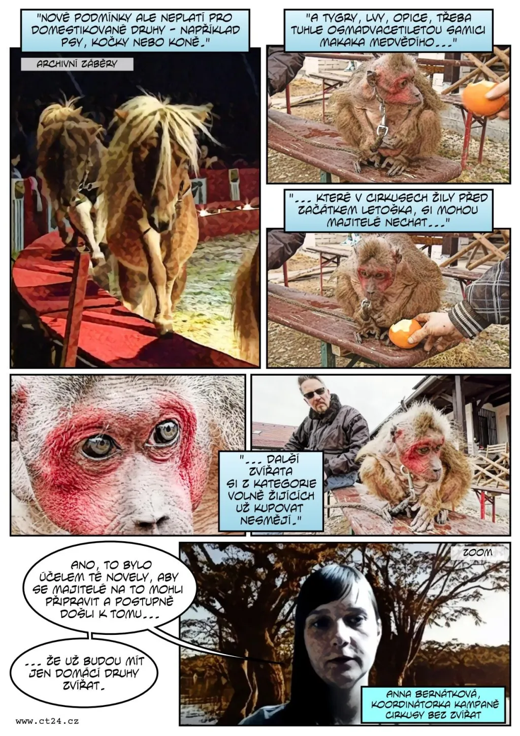 Nový zákon proti týrání zvířat