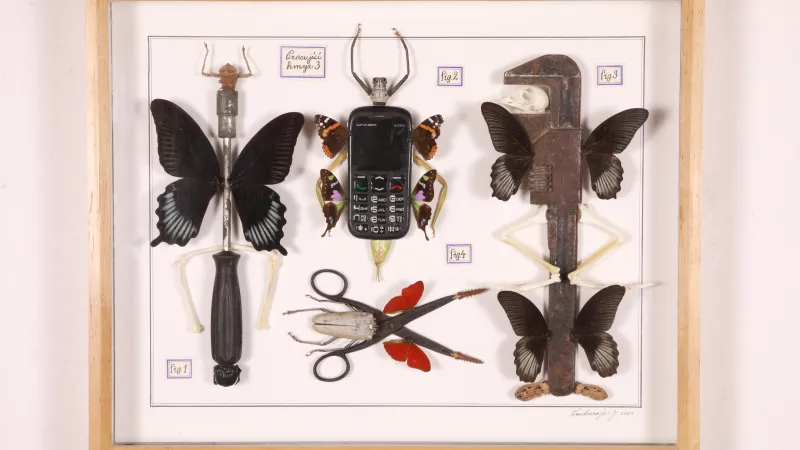 Jan Švankmajer, Motýli nátěroví, 2021