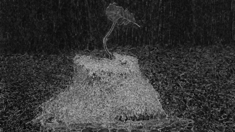 Kouzelná výstava plná pohádkových bytostí v pražské galerii Artinbox.