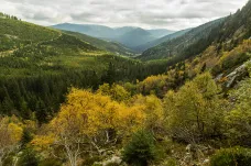 Krkonošský národní park se zřejmě rozdělí na čtyři zóny. Ta nejvíce chráněná zabere 20 procent