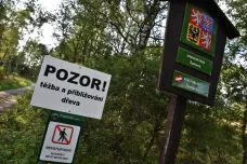 Propad ceny dřeva dostal šumavský park do finanční tísně