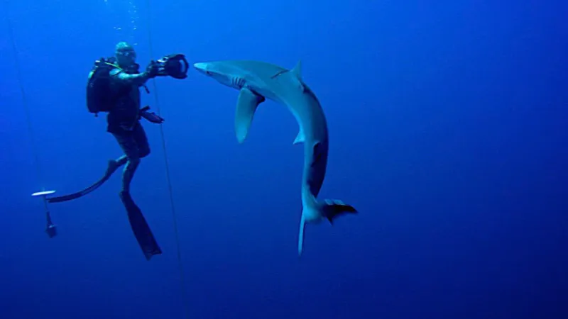 Azorské ostrovy - nespočet odstínů zelené