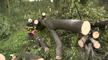 Popadané stromy po bouřce v Krnově