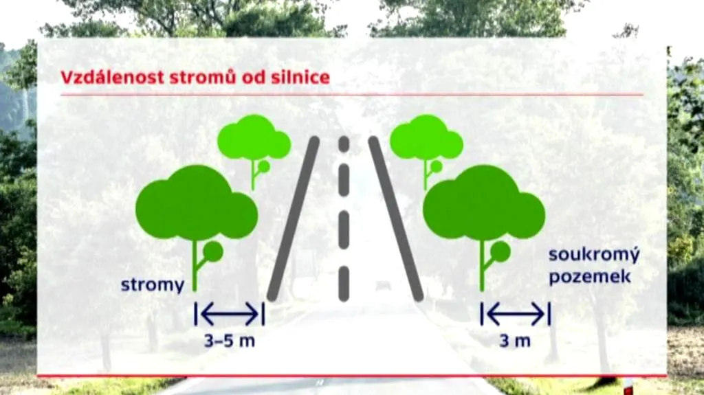 Jak daleko musí být strom od hranice pozemků?