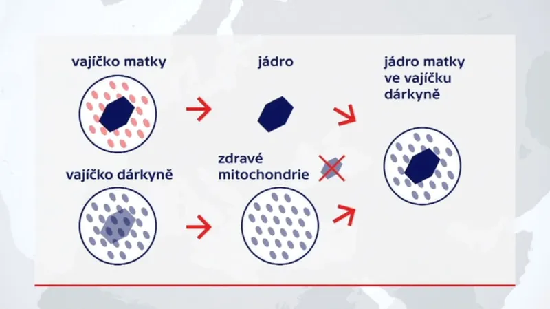 Početí z DNA tří lidí