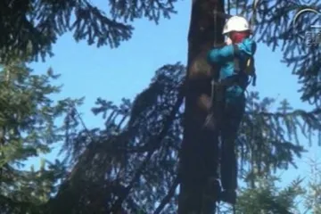 Víkend s lanovými aktivitami příbramských junáků