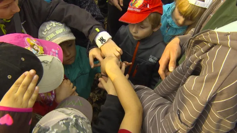 Vypouštění netopýrů se účastnily i děti