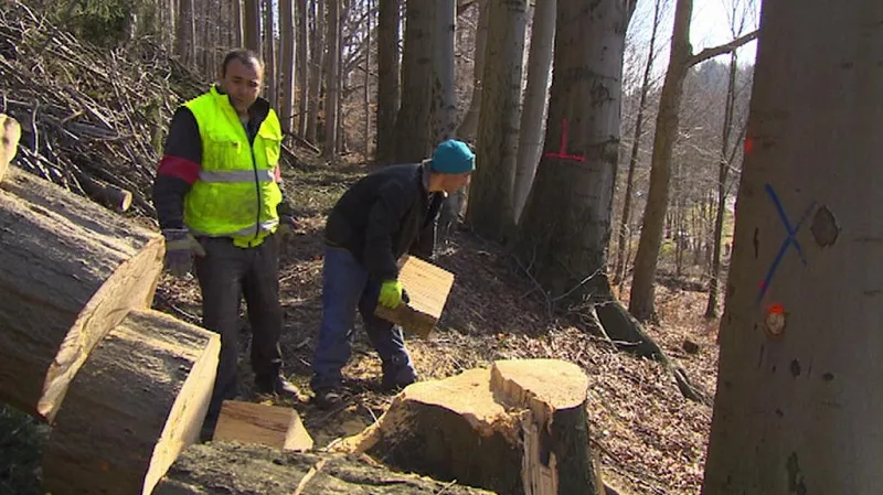 Pan Robert si vydělá asi 10 000 korun hrubého