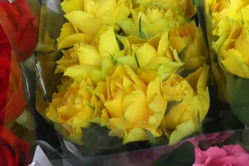 Sousedské setkání v Kololeči při příležitosti MDŽ