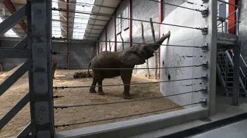 Zlínská zoo představila nové chovné zařízení pro slony