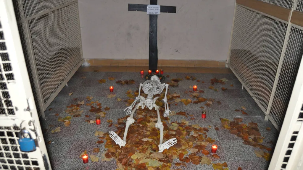 Halloweenská noc v Poběžovicích
