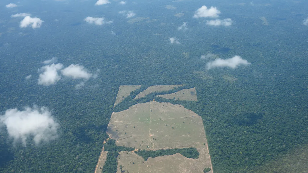 Deforestace Amazonského pralesa