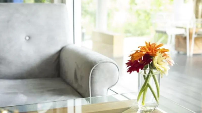 Advokátka o zvyšování nájemného: V zahraničí potřebné předpisy mají