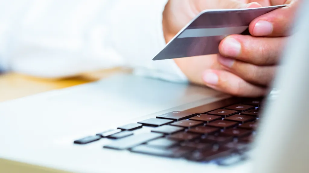 Nakupování po internetu