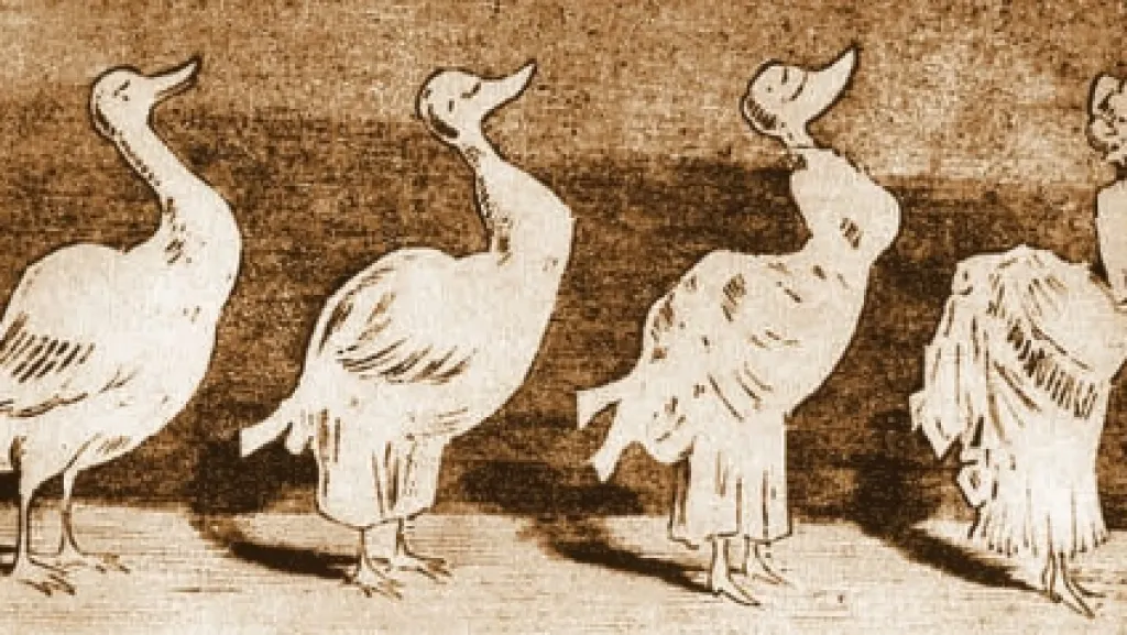 Z výstavy Ach, ty ženy