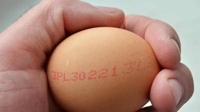 Vejce. Číslo 3 značí, že jde o klecový chov