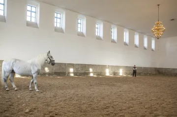 Soud upustil od souhrnných trestů pro firmy v kauze oprav kladrubského hřebčína
