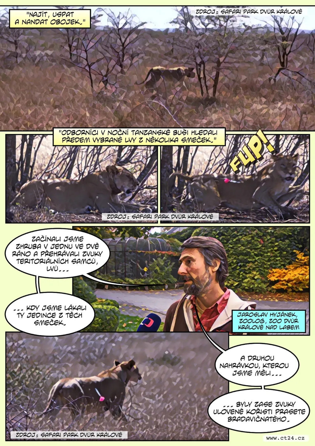 Čeští zoologové obojkovali v Africe lvy