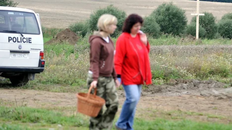 Kříž v Dobroníně