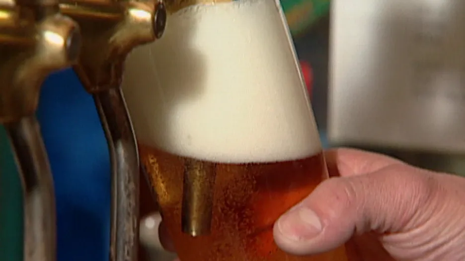 Pivo