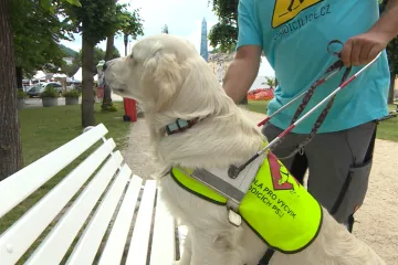 Festival ve Varech překonává bariéry