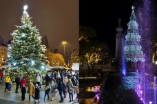 Tradice zdobení vánočního stromku sahá až do pozdního středověku. Prohlédněte si ty nejzajímavější z letošního roku
