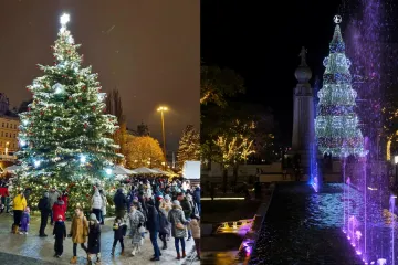 Tradice zdobení vánočního stromku sahá až do pozdního středověku. Prohlédněte si ty nejzajímavější z letošního roku