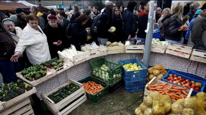 Komentář Martina Leibla