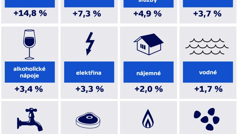 Meziroční růst cen podle vybraných položek v listopadu