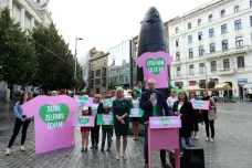 Zelení zahájili poslední fázi kampaně, tématy jsou klimatická krize nebo podíl žen v politice